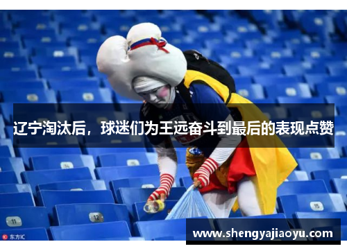 辽宁淘汰后，球迷们为王远奋斗到最后的表现点赞